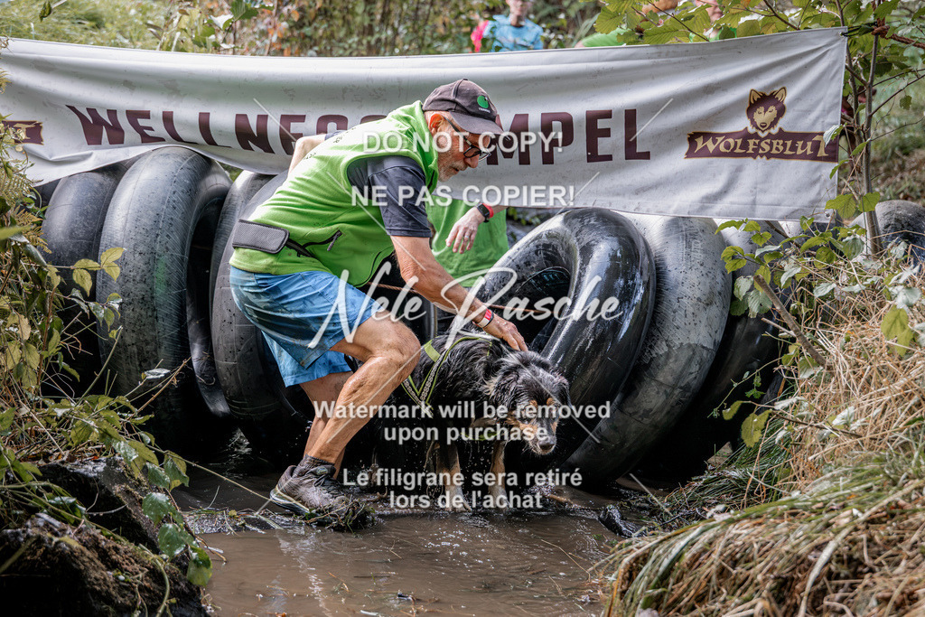 nelerasche_Hunsrück2026_Sa1400-1500_79 | nelerasche