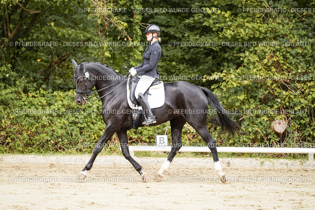 DSC03334 | Pferdegrafie