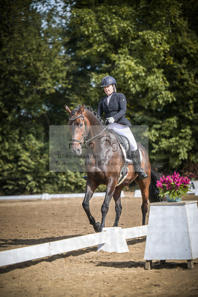 DOS_4080 | Entdecke hochwertige Reitturnierfotos von Foto Oger. Professionell, emotional und authentisch – jetzt Lieblingsmomente im Shop bestellen.Deutschlandweite Turnierfotografie. - Realisiert mit Pictrs.com