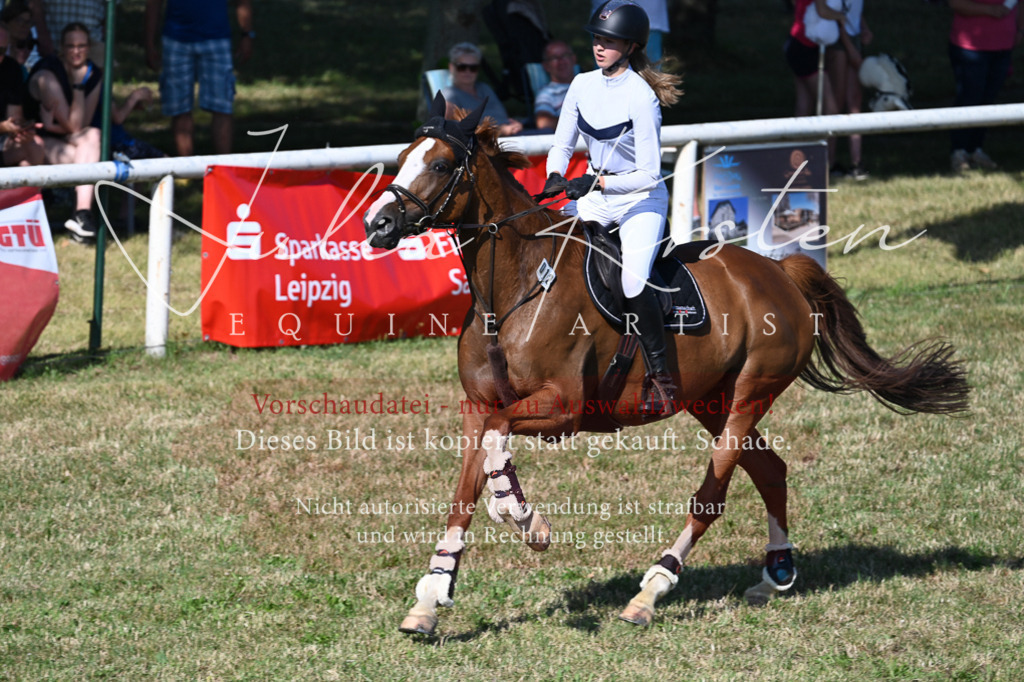 DSC_2306 | Pferde- und Turnierfotografie in Westsachsen. Pferdeportraits, Auftragszeichnungen und intuitive Kunst.