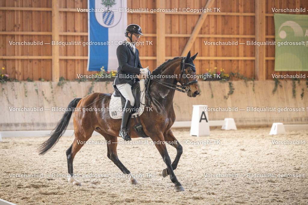 _D5A6206 | Emotionale Pferde- & People-Fotografie rund um Heidelberg, Leimen & Umgebung. Natürliche Fotos von Pferd, Mensch & Familie. Jetzt Termin sichern!