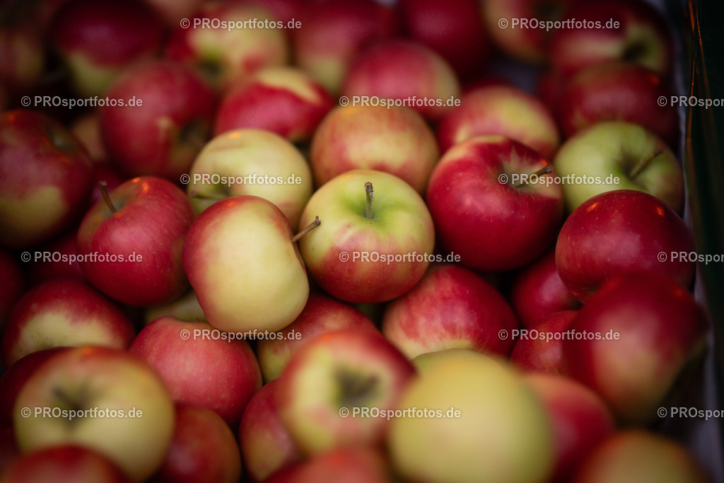 Halloween Run 2025 in Koeln, 31.10.2025 | Impressionen vom Halloween Run 2025 am 31.10.2025 in Koeln (Forstbotanischer Garten Rodenkirchen). Foto: Axel Kohring/Beautiful Sports