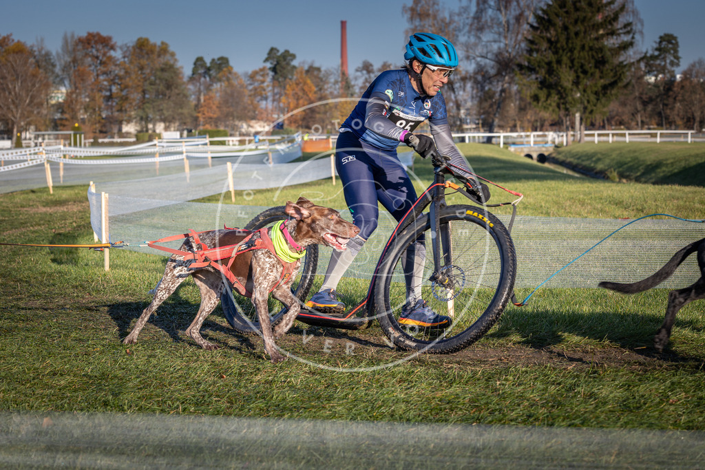 CaniXpix_0L8A4071 | Hundefotografie, Tierfotograf, Pfotenfotografie, Fotoshooting Hund, Hunde Portrait, Hundesport, Hundeportraits, Heideshooting, Hunde, Sportfotograf, Hundefotograf, Turnierhundsport, THS,  - Realisiert mit Pictrs.com