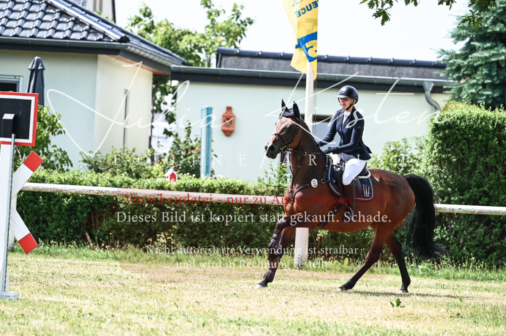 DSC_9101 | Pferde- und Turnierfotografie in Westsachsen. Pferdeportraits, Auftragszeichnungen und intuitive Kunst.