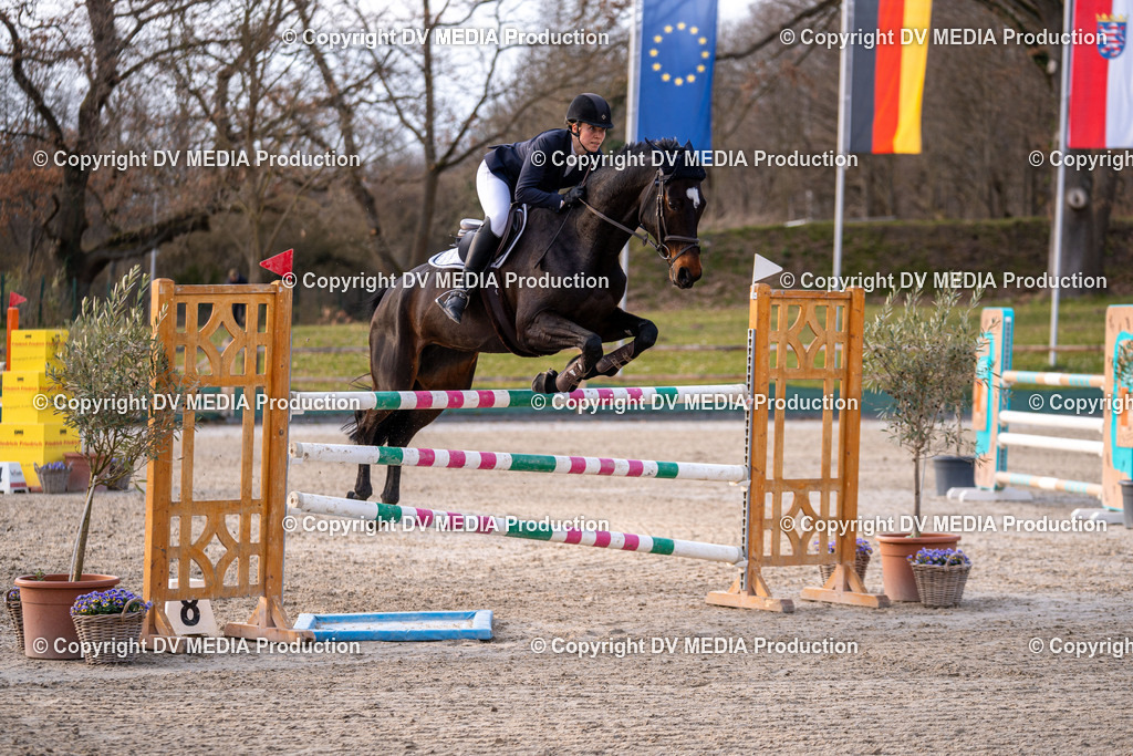 Kranichstein Tag 2-2417 | dv-media-shop - Realisiert mit Pictrs.com