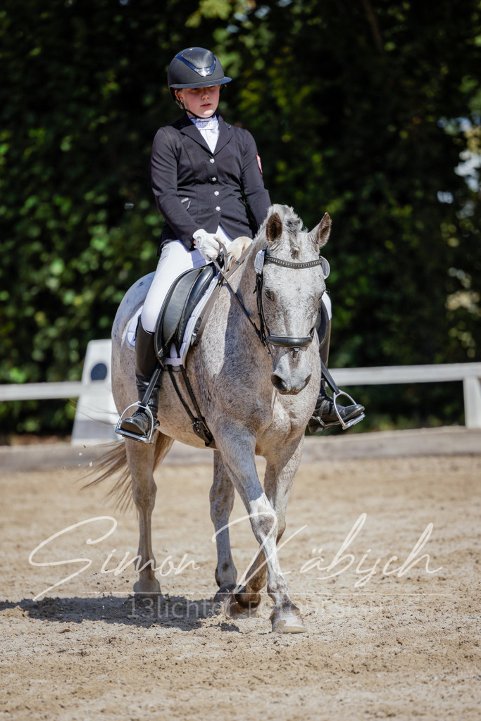 20250906-_3LI5175 | Tierfotografie Pferde, Hunde, Katzen, Haustiere.
Turnierfotografie Reitturniere, Reiten, Springreiten, Dressur in Hanau, dem Main-Kinzig-Kreis und dem Rhein-Main- Gebiet um Frankfurt