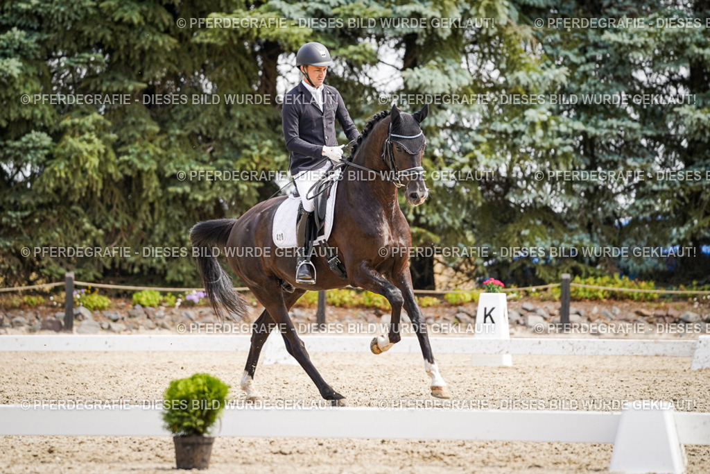 DSC00154 | Pferdegrafie