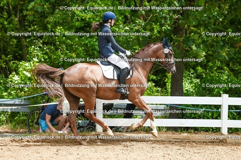 20230716_03_Dressurprfg. Kl.L - Tr._0331 | equistock