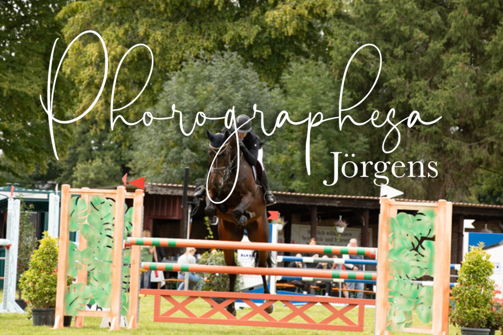 IMG_8758 | photographesa-joergens - Realisiert mit Pictrs.com