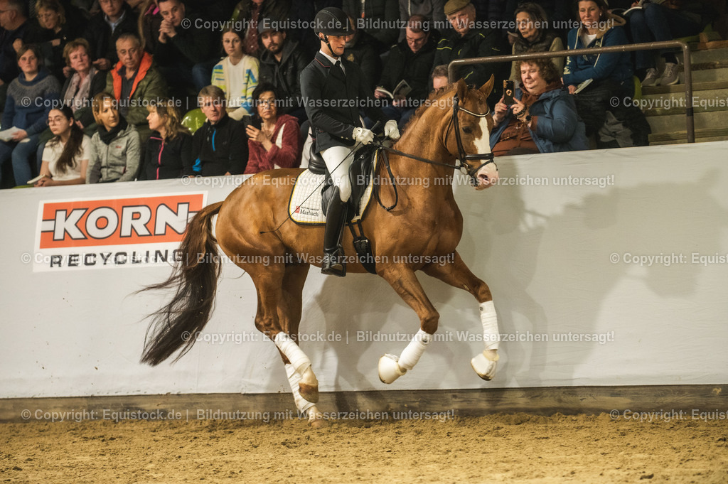20240302_Hengstvorstellung_Marbach_TOMsPiC_0532-2 | equistock