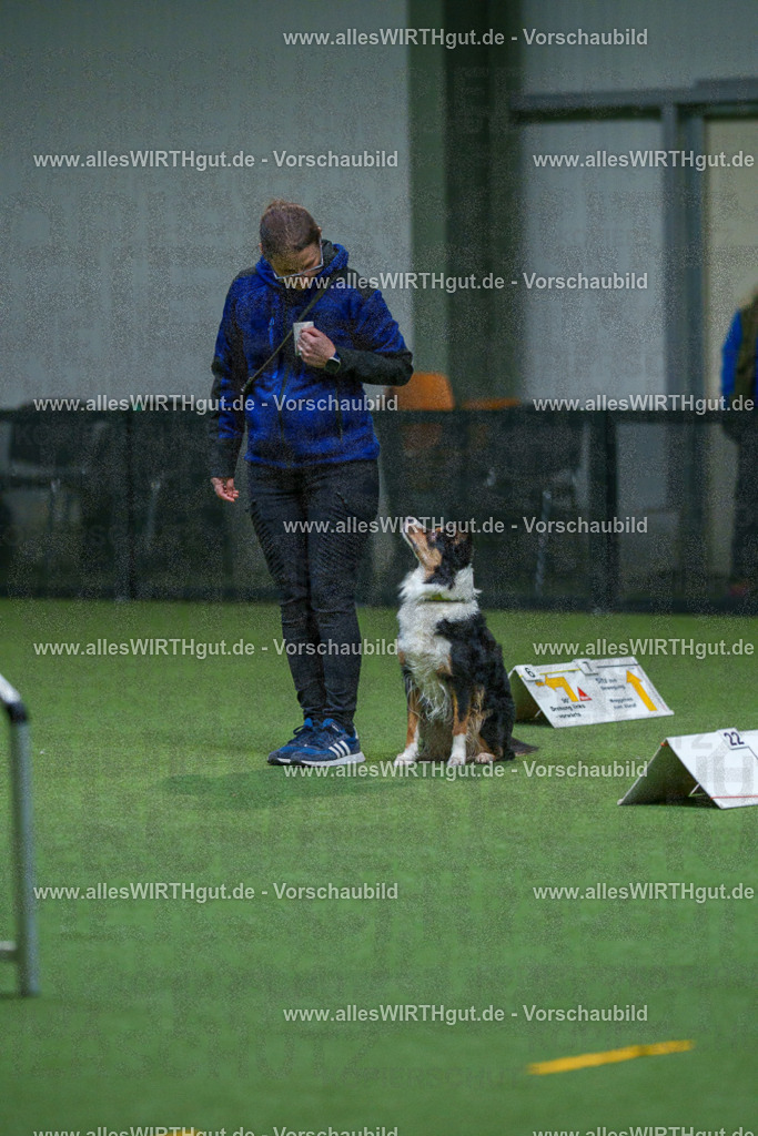 7R503134 | Professionelle Tierfotografie in Mönchengladbach von Daniel Wirth (allesWIRTHgut). Liebevolle & natürliche Bilder von Hunden & Katzen für unvergessliche Erinnerungen.