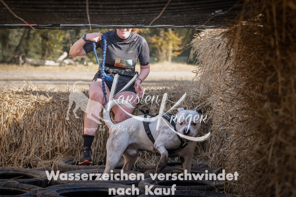 1136_ZZ92139 | kk-dogfotos