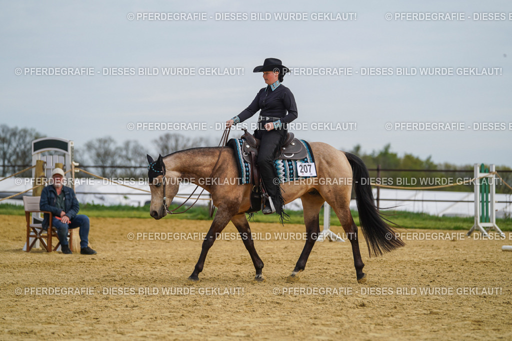 DSC03884 | Pferdegrafie