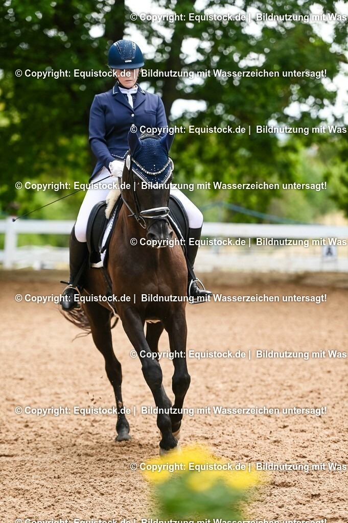 20230716_03_Dressurprfg. Kl.L - Tr._0631 | equistock
