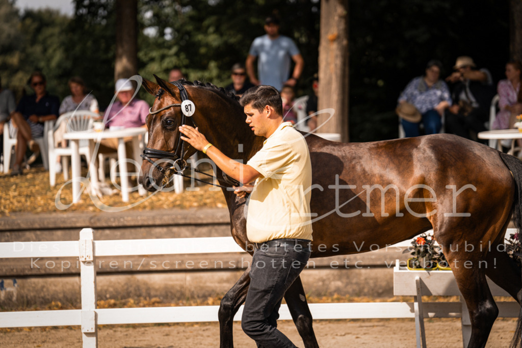 FrER00199 | Leoni Ertmer Photography - Realisiert mit Pictrs.com