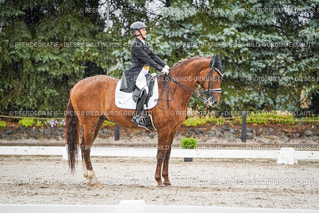 DSC08993 | Pferdegrafie