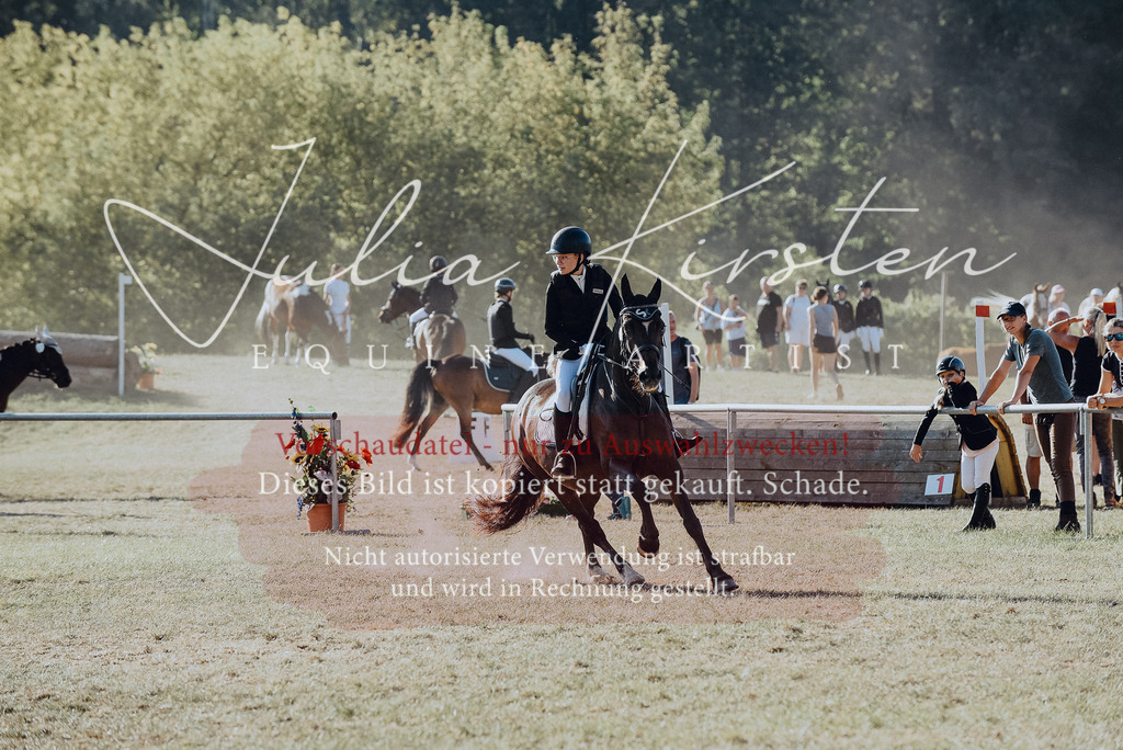 DSC_5556 | Pferde- und Turnierfotografie in Westsachsen. Pferdeportraits, Auftragszeichnungen und intuitive Kunst.