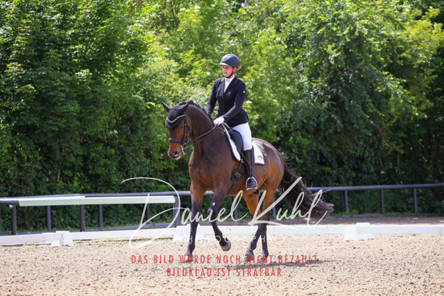 DKP41015 | Turnierfotos kaufen im Webshop von Daniel Kuhl Photography – entdecke professionelle Reitsportfotos aus Turnieren & Events. Hochwertige Turnierbilder online bestellen & sichern. Jetzt Fotos von Reitsportturnieren kaufen!