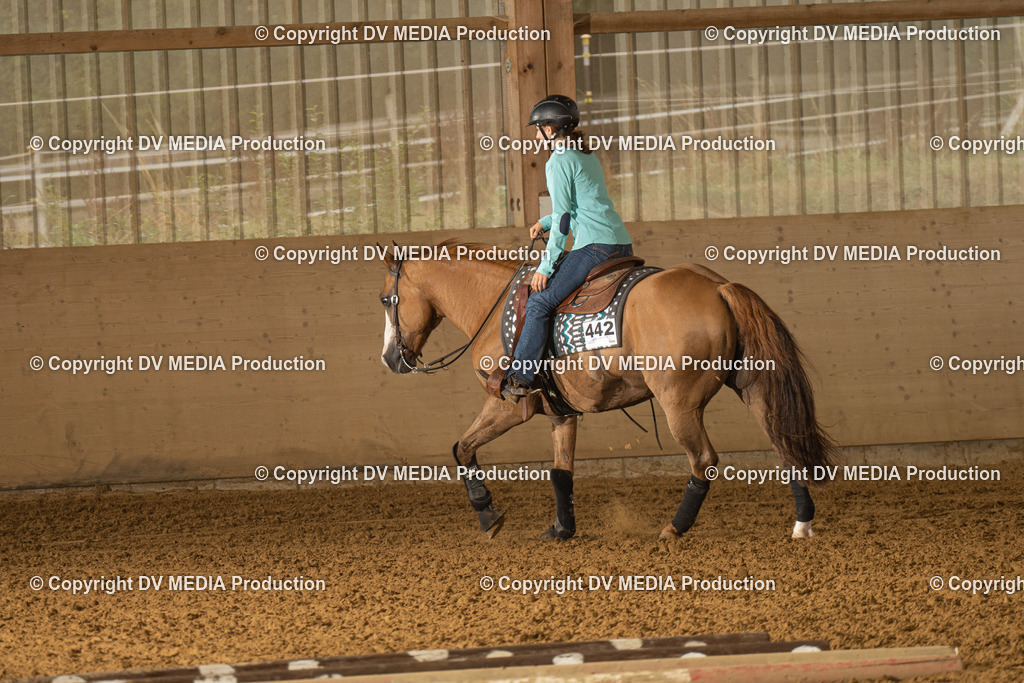 LAU00565 | dv-media-shop - Realisiert mit Pictrs.com