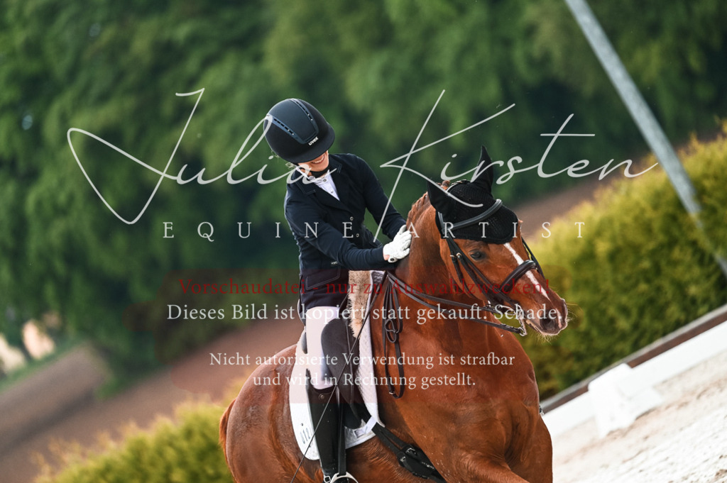 DSC_4260 | Pferde- und Turnierfotografie in Westsachsen. Pferdeportraits, Auftragszeichnungen und intuitive Kunst.