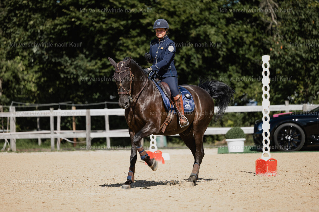 Mirjam25_FHC2025-27307 | working equitationturnier fotograf videograf stoibphotography marixx film working equitation deutschland reitsport turnierfotografie eventfotografie equestrian events