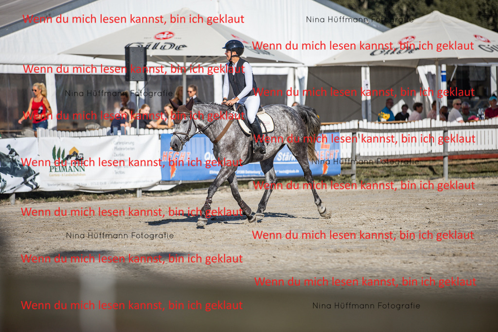 BK1A7537 | Turnierbilder Turnierfotos Nina Hüffmann Turnierfotografie Pferdefotografie Tierzeichnung Haustierzeichnung Pferdezeichnung Hundezeichnung Videograf  - Realisiert mit Pictrs.com