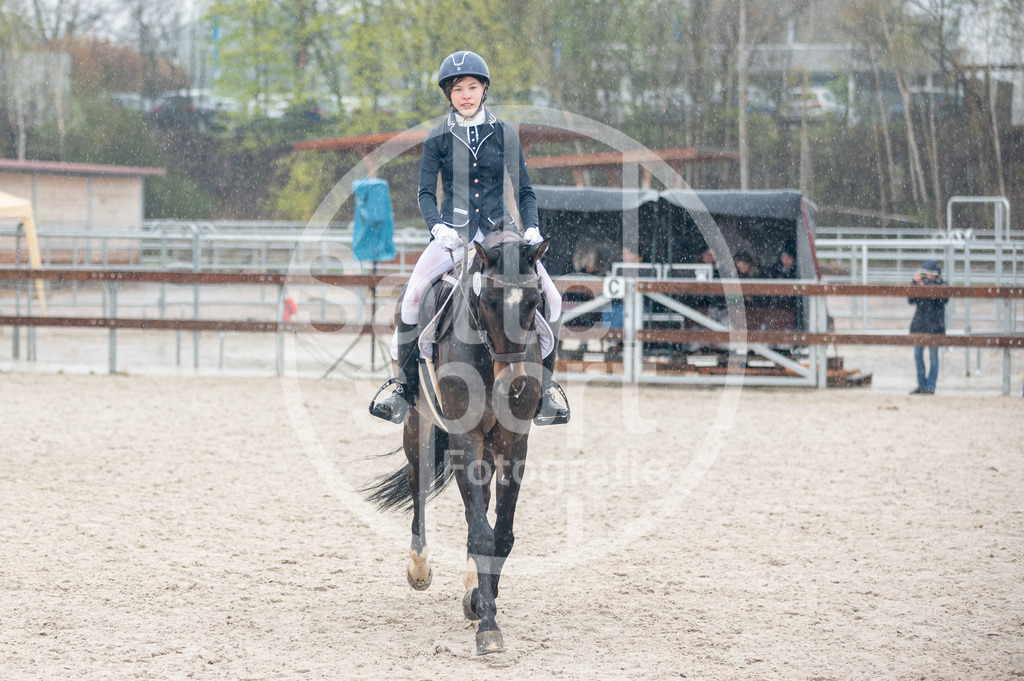 DSC_7401 | sattelsport - Realisiert mit Pictrs.com