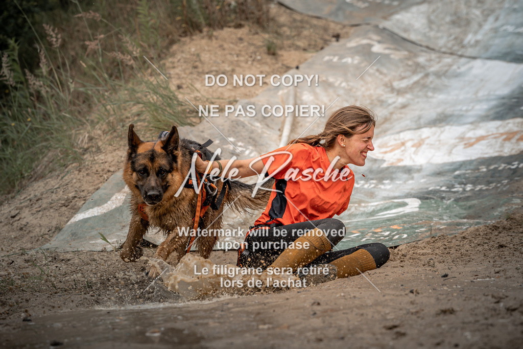 nelerasche_sa1300-1345_160 | nelerasche