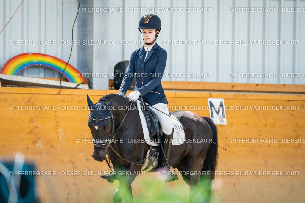 DSC08981 | Pferdegrafie