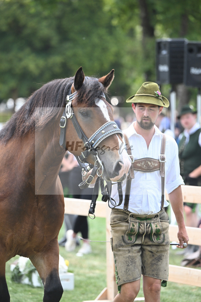 Kat-Nr. 41 Halla_Fritzmeier_20230622 | hf-fotografie - Realisiert mit Pictrs.com