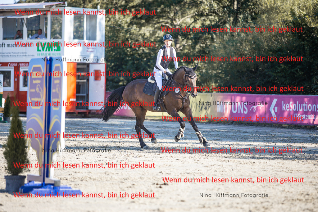 BK1A7803 | Turnierbilder Turnierfotos Nina Hüffmann Turnierfotografie Pferdefotografie Tierzeichnung Haustierzeichnung Pferdezeichnung Hundezeichnung Videograf  - Realisiert mit Pictrs.com