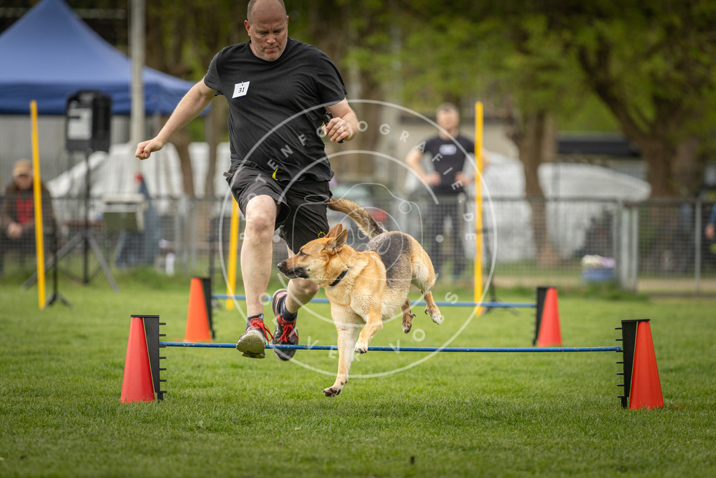 Pfotenfotografie_DV3A2729 | Hundefotografie, Tierfotograf, Pfotenfotografie, Fotoshooting Hund, Hunde Portrait, Hundesport, Hundeportraits, Heideshooting, Hunde, Sportfotograf, Hundefotograf, Turnierhundsport, THS,  - Realisiert mit Pictrs.com