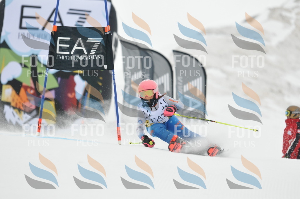 DSC_8139 | holidayphoto