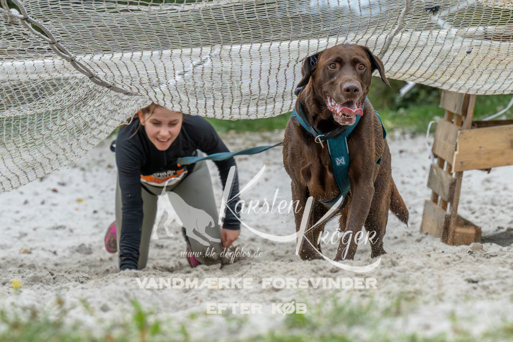 1033_ZZ94326 | kk-dogfotos