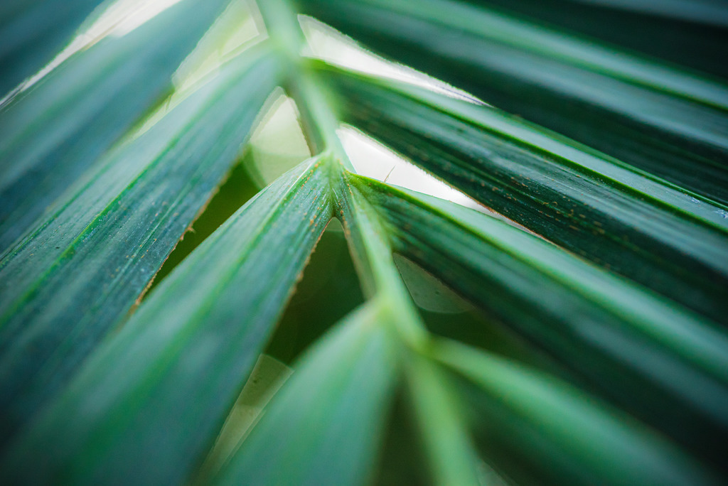 2015_03_17_DSC0833 | Hochwertig gedruckte Fotografien für die Wand, als Kalender und zum Verschenken. Hamburg & Norddeutschland und überall wo ich mit der Kamera unterwegs war.