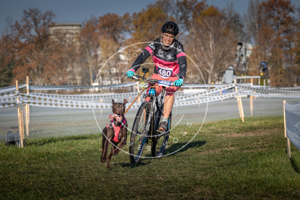 CaniXpix_0L8A4684 | Hundefotografie, Tierfotograf, Pfotenfotografie, Fotoshooting Hund, Hunde Portrait, Hundesport, Hundeportraits, Heideshooting, Hunde, Sportfotograf, Hundefotograf, Turnierhundsport, THS,  - Realisiert mit Pictrs.com