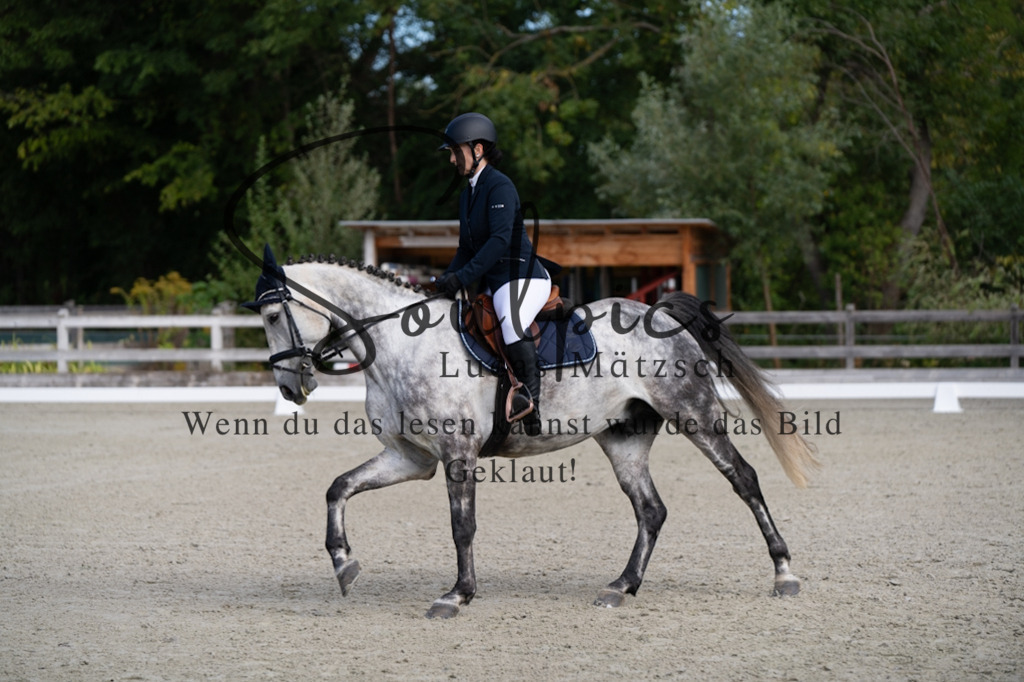 A7V06841 | Turnier/Reitfotograf