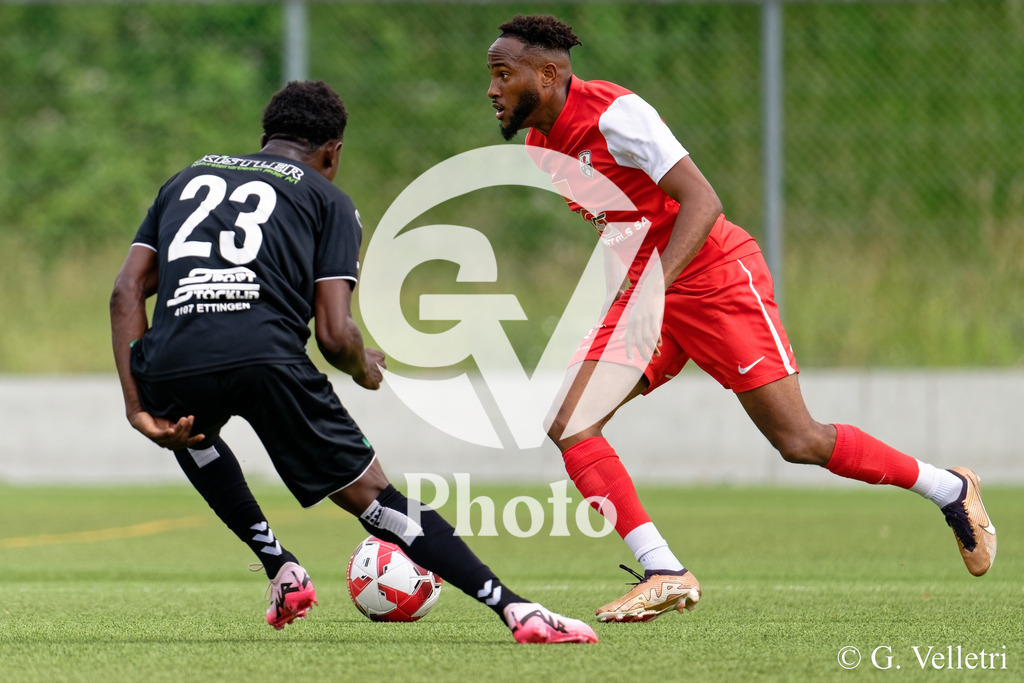 DSC_7472_M | Velletri Photo