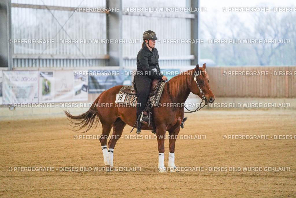 DSC09211 | Pferdegrafie