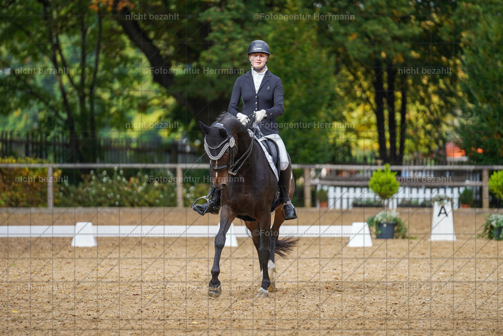 20221007-FAH09955 | Diessen am Ammersee, 2022, Dressur- und Springturnier, Reitsportbilder, Turnierfotografen Bayern, Pferdefotografen, Fotoagentur Herrmann, Turnierbilder