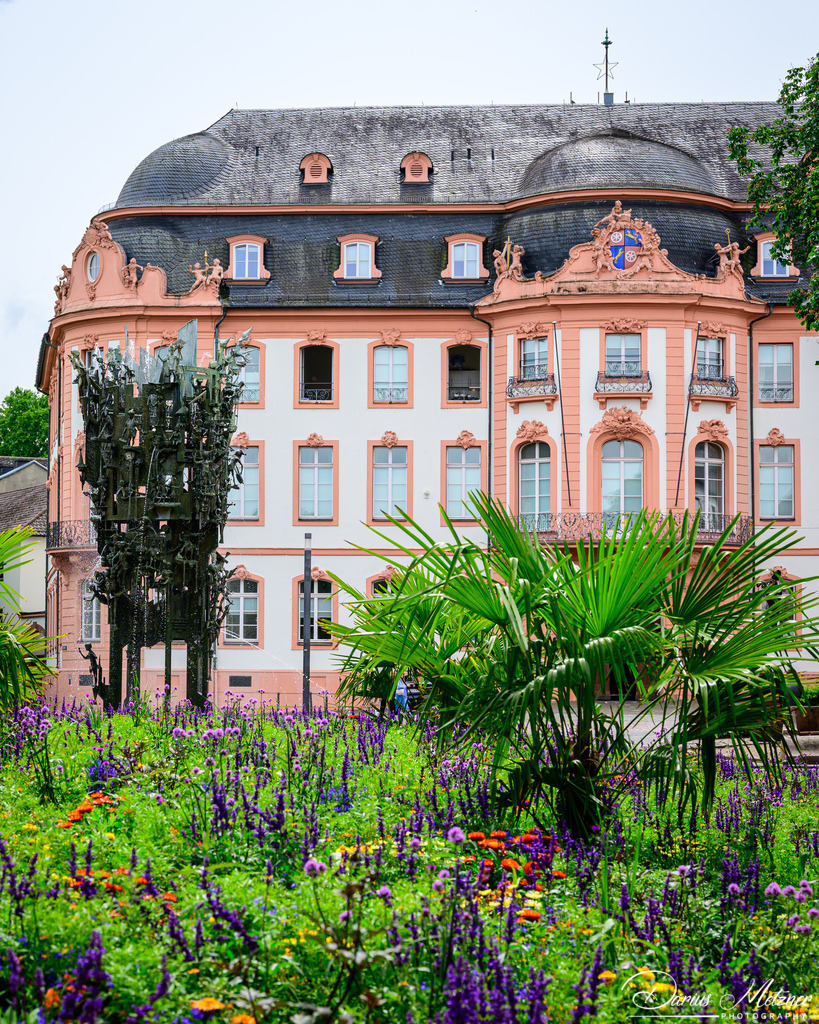 DSC_3273 2 | Fotografien, Fotos und Bilder aus Mainz, Frankfurt, Wiesbaden und anderen Orten auf der Welt - Fotografiert von Darius Metzner