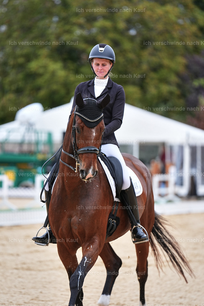 04_1-084-Dressur M__ -Marixx-2749 | working equitationturnier fotograf videograf stoibphotography marixx film working equitation deutschland reitsport turnierfotografie eventfotografie equestrian events
