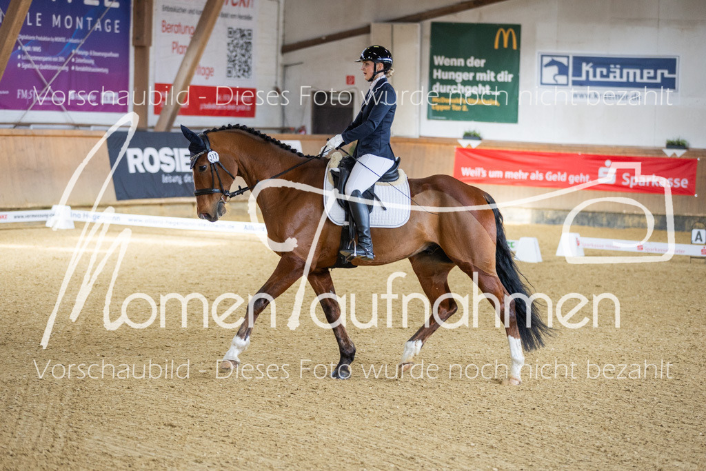 Sth-LPO25-A-Dr-051 | MomenTaufnahmen Pferdesportfotos