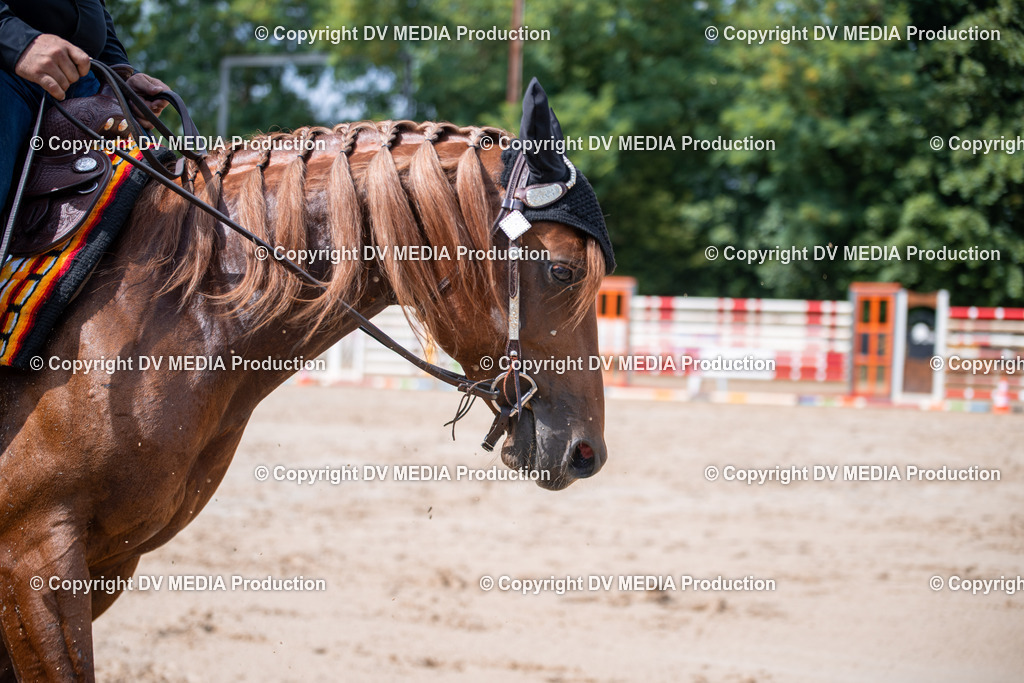 ZS2_4044 | dv-media-shop - Realisiert mit Pictrs.com