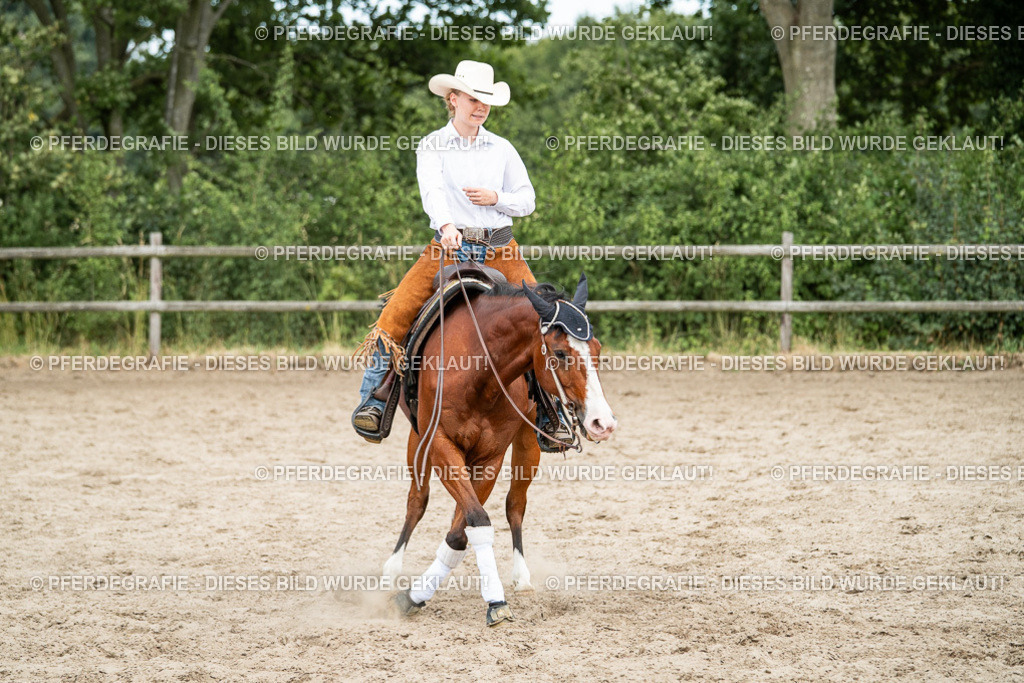 DSC02122 | Pferdegrafie