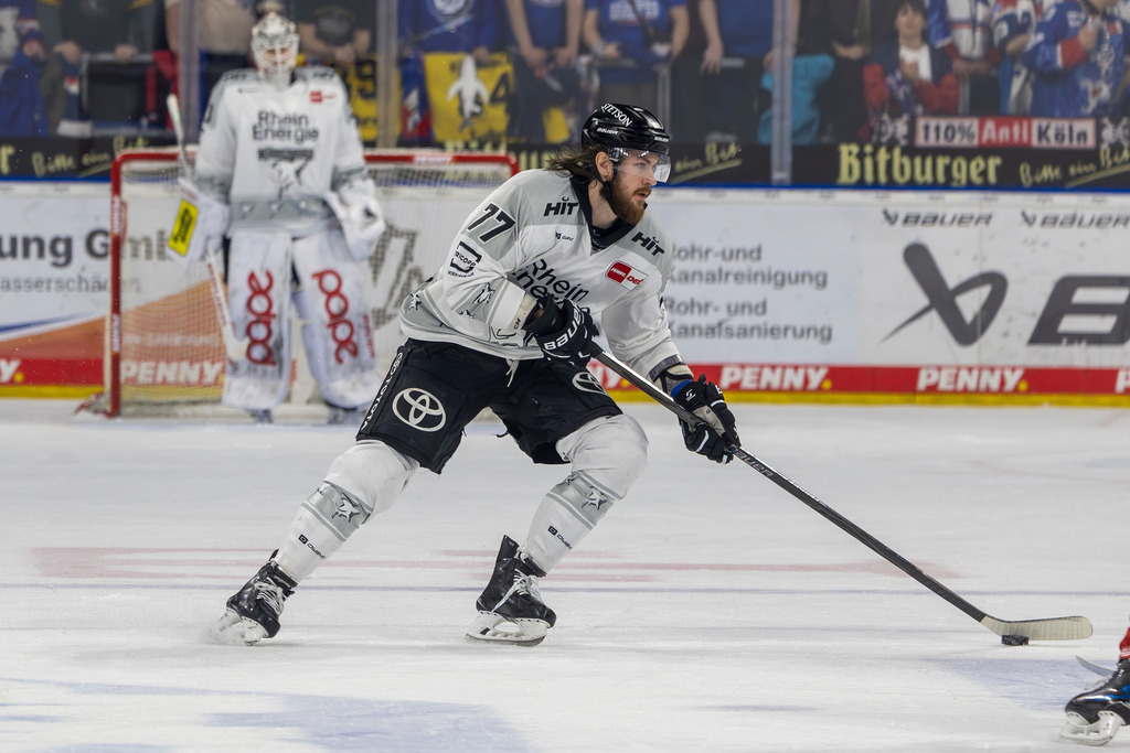 DEL, Deutsche Eishockey Liga Saison 2025/26, 49. Spieltag: Adler Mannheim gegen Kölner Haie | DEL, Deutsche Eishockey Liga Saison 2025/26, 49. Spieltag: Adler Mannheim gegen Kölner Haie***Am Puck: Ryan MacInnis (77, Köln) - Realisiert mit Pictrs.com
