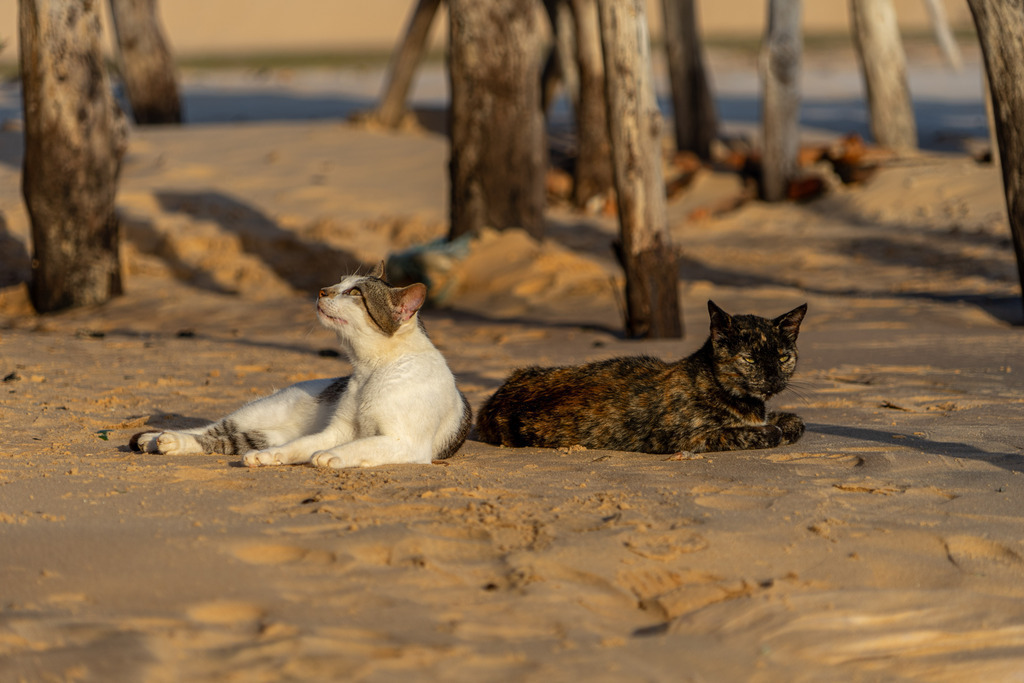 20251114-DeltaTour-0018 | paulependelt - Realisiert mit Pictrs.com