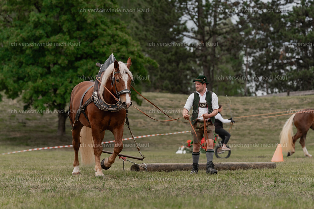 Showprogramm-360 | working equitationturnier fotograf videograf stoibphotography marixx film working equitation deutschland reitsport turnierfotografie eventfotografie equestrian events