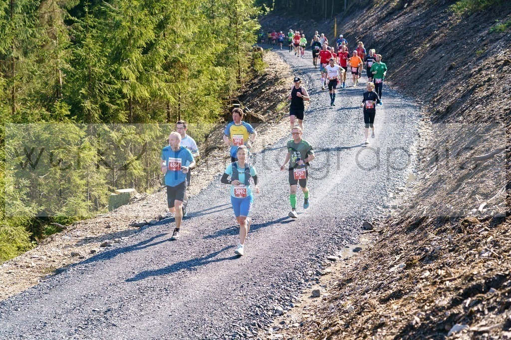 Rennsteiglauf 2023 | Rennsteiglauf 2023 am 12. Mai 2023 - Marathon-Strecke Neuhaus/Rwg. - Schmiedefeld