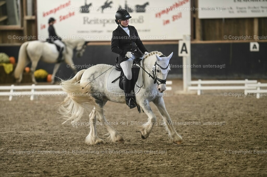 01_Dressur_A_Finale-Volksbank-Championat_0112 | Foto: Thomas Hartig